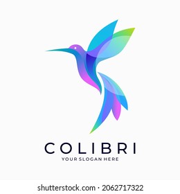 Hummingbird logo design vector template