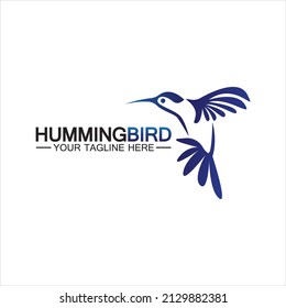 Hummingbird logo design vector template