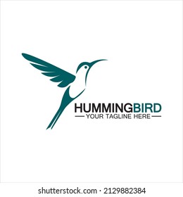 Hummingbird logo design vector template