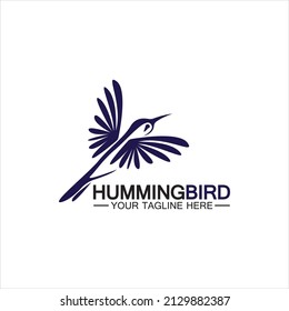 Hummingbird logo design vector template