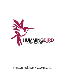 Hummingbird logo design vector template