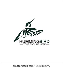 Hummingbird logo design vector template