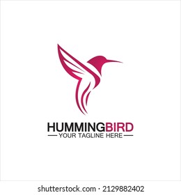 Hummingbird logo design vector template