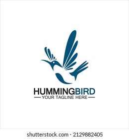 Hummingbird logo design vector template