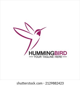 Hummingbird logo design vector template