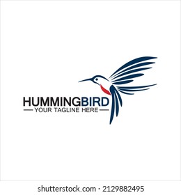 Hummingbird logo design vector template