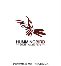 Hummingbird logo design vector template