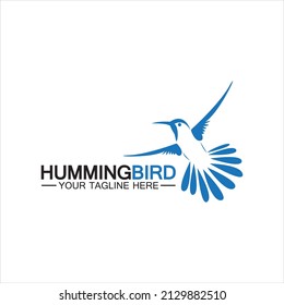 Hummingbird logo design vector template