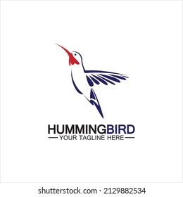 Hummingbird logo design vector template