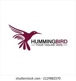 Hummingbird logo design vector template