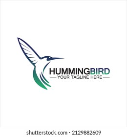 Hummingbird logo design vector template