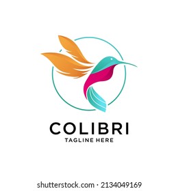 Hummingbird logo design vector template