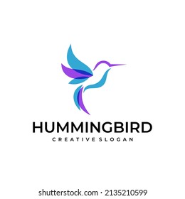 Hummingbird logo design vector template
