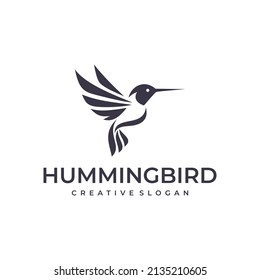 Hummingbird logo design vector template
