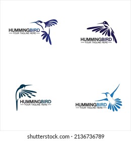 Hummingbird logo design vector template