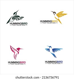 Hummingbird logo design vector template