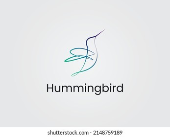 hummingbird logo design vector template