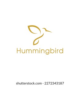 hummingbird logo design vector template
