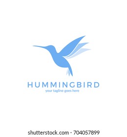 Hummingbird. Logo. Flying bird on white background