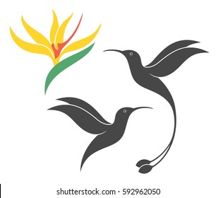 Hummingbird logo. Flying hummingbird with flower on white background. EPS 10. Vector illustration