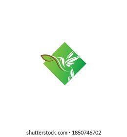 Hummingbird logo icon creative design template