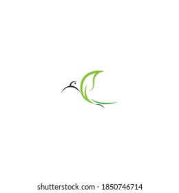 Icono del logotipo de Hummingbird plantilla de diseño creativo
