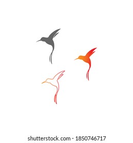 Icono del logotipo de Hummingbird plantilla de diseño creativo