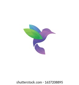 Hummingbird logo icon templates full color design