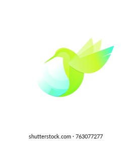 Hummingbird logo. Illustration of a bird species violetears Colibri. Flat Vector drawing of an animal fly. 
