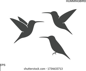 Hummingbird logo. Isolated hummingbird on white backgroun. Bird