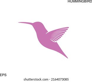 Hummingbird logo. Isolated hummingbird on white background