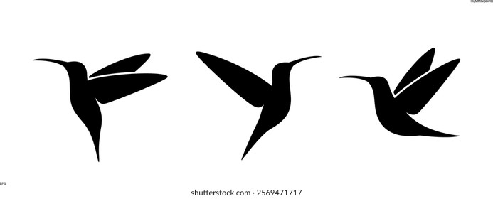 Hummingbird logo. Isolated hummingbird on white background