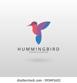 Hummingbird logo. Multicolored hummingbird logotype