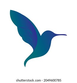 hummingbird logo , simple and clean