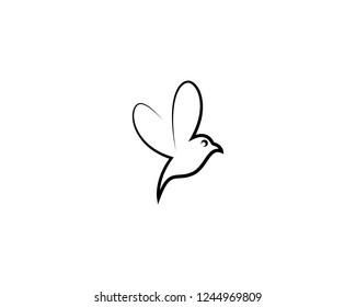 Hummingbird logo template