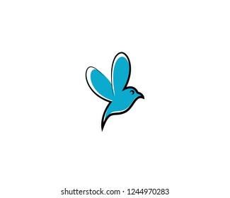 Hummingbird logo template