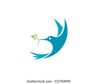 Hummingbird Logo Template