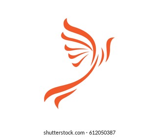 Hummingbird Logo Template
