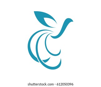 Hummingbird Logo Template