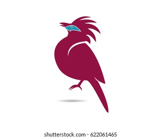 Hummingbird Logo Template