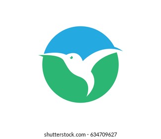 Hummingbird Logo Template
