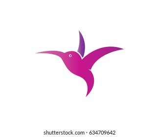 Hummingbird Logo Template