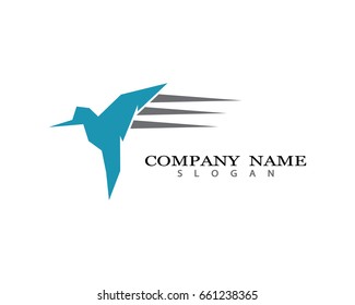 Hummingbird Logo Template