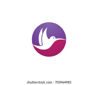 Hummingbird Logo Template