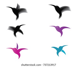 Hummingbird Logo Template