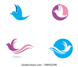 Hummingbird Logo Template