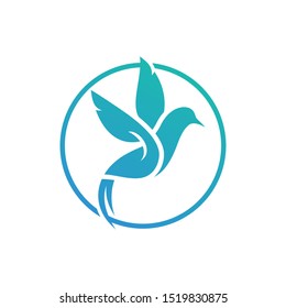 Hummingbird logo template, Bird icon design vector