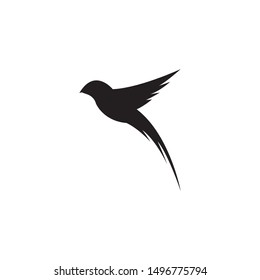 Hummingbird Logo Template vector illustration