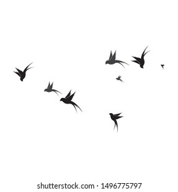 Hummingbird Logo Template vector illustration