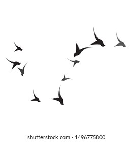 Hummingbird Logo Template vector illustration